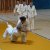 Bilder 2025 - Zertifizierung Sportfreundliche Schule
